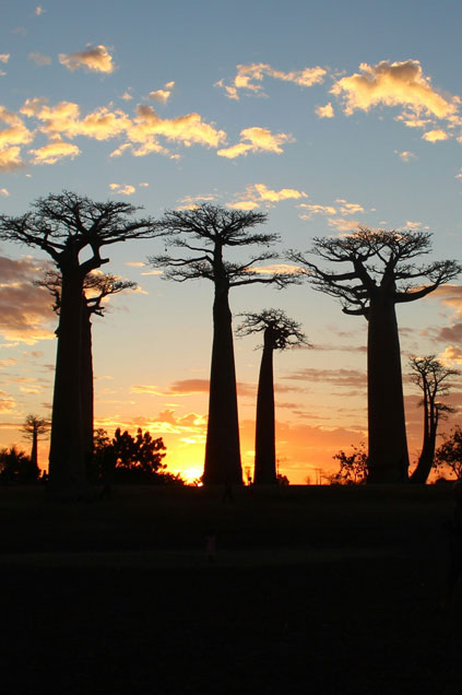 Madagascar