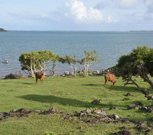 Rodrigues island 1
