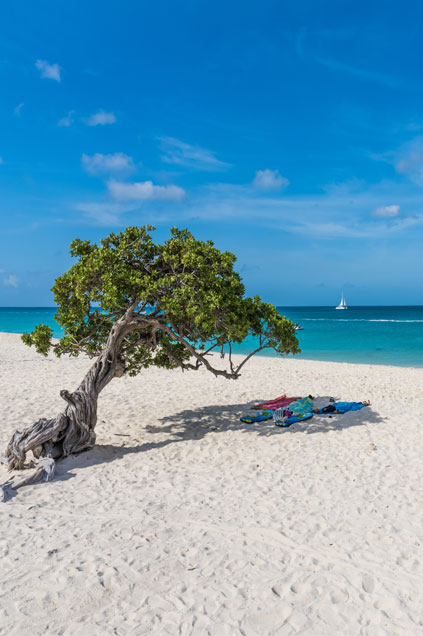 Rodrigues island